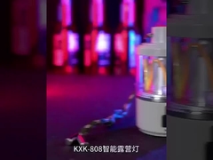 レトロキャンプライト 超長電池寿命 屋外照明
