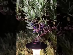 キャンプ用ライト LED照明 キャンプ用ライト ミニポータブルUSB充電式懐中電灯